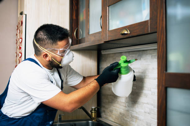 Best Wildlife Control Services  in San Saba, TX