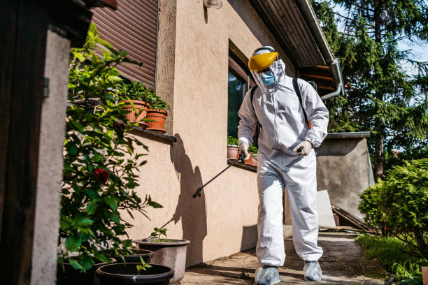 Best Affordable Pest Control Services  in San Saba, TX
