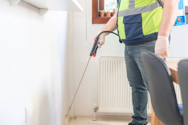  San Saba, TX Pest Control Pros