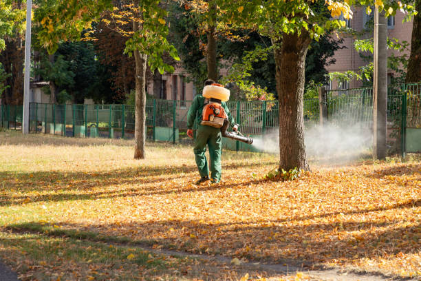 Trusted San Saba, TX Pest Control Experts