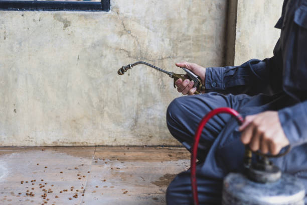Pest Prevention Services in San Saba, TX