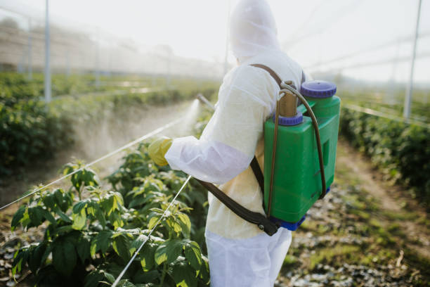 Reliable San Saba, TX Pest Control Solutions